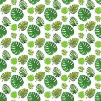 tropical leaf monstera on white background Seamless Pattern Design vector