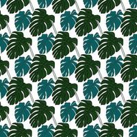 tropical monstera on white background  Seamless Pattern Design vector