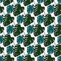 tropical monstera on white background  Seamless Pattern Design vector