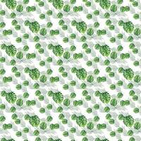 tropical monstera coconut leaf one white background Seamless Pattern Design vector