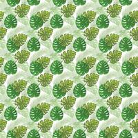 tropical monstera coconut and palm on white background Seamless Pattern Design vector