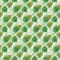 tropical monstera coconut and palm on white background Seamless Pattern Design vector