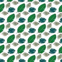 tropical  banana monstera and coconut palm on white background Seamless Pattern Design vector