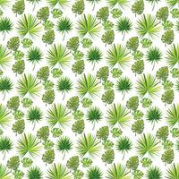 tropical palm monstera on white background  Seamless Pattern Design vector