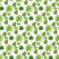 tropical palm monstera on white background  Seamless Pattern Design vector