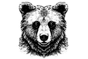 Ink hand drawing sketch bear mascot or logotype head. Vector Illustration in engraving style.