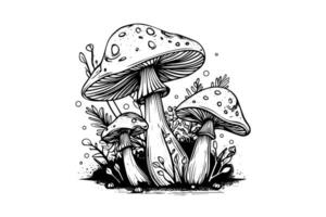 Fly agaric or amanita mushrooms group growing in grass engraving style. Vector illustration.