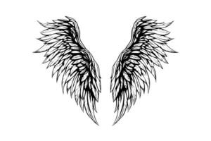 Angel wings ink sketch in engraving style. Hand drawn fenders vector illustration.