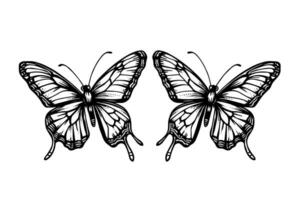 conjunto de mariposa bosquejo. mano dibujado grabado estilo vector ilustración.