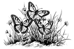 Sketch of butterflies sit on flowers. Hand drawn engraving style vector illustration.