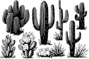 Set of cactus in engraving style vector illustration.Cactus hand drawn sketch imitation.