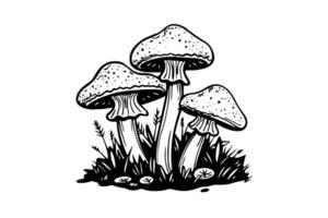 Fly agaric or amanita mushrooms group growing in grass engraving style. Vector illustration.