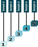 cinco pasos o opciones etiqueta en azul cubo. infografía vector ilustración.