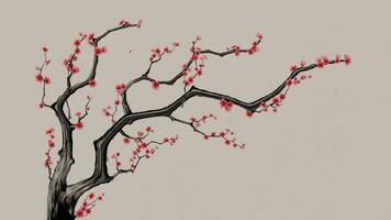 Plum blossom with Chinese ink painting style, 3d rendering. video