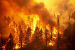 Aerial view of massive wildfire or forest fire with burning trees and orange smoke. Generative AI. photo