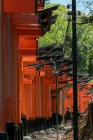 The Shrine of the Thousand Torii Gates. Fushimi Inari Shrine. It is famous for its thousands of vermilion torii gates. Japan photo