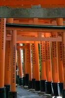 The Shrine of the Thousand Torii Gates. Fushimi Inari Shrine. It is famous for its thousands of vermilion torii gates. Japan photo