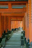 The Shrine of the Thousand Torii Gates. Fushimi Inari Shrine. It is famous for its thousands of vermilion torii gates. Japan photo