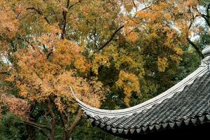 the autumn in the park of Suzhou Garden in China photo