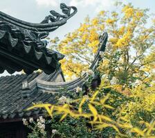 the autumn in the traditional park in China photo