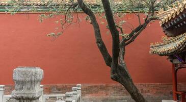 Ancient city landscape, with architectural structure and ancient culture photo