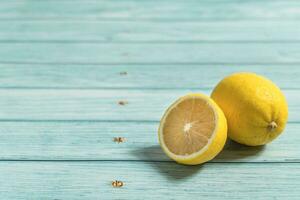 the fruit lemon on the blue table, cool light background photo