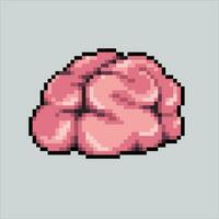 Pixel art illustration Brain. Pixelated Brain. Brain icon pixelated for the pixel art game and icon for website and video game. old school retro. vector