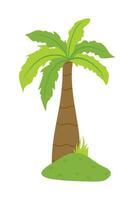 palma árbol ilustración en plano estilo aislado en blanco antecedentes. tropical verano planta ilustración. vector