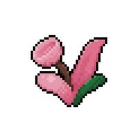 pink tulip flower in pixel art style vector