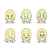 Slice of ambarella cartoon character with sad expression vector