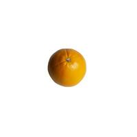 orange isolated on white background photo