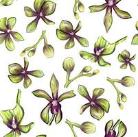 Watercolor seamless Orchid pattern on a white background photo