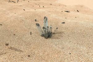 A cluster of magic crystal gather together in the desert, 3d rendering. photo