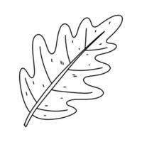 Autumn leaf. Hand drawn doodle style. Vector illustration isolated on white. Coloring page.