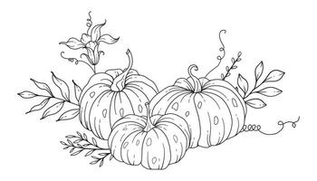 Pumpkins Line Art Illustration, Outline Pumpkin arrangement Hand Drawn Illustration. Coloring Page with Pumpkins.  Thanksgiving Pumpkins set. Thanksgiving Pumpkins set isolated on white vector