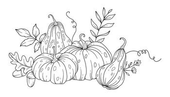 Pumpkins Line Art Illustration, Outline Pumpkin arrangement Hand Drawn Illustration. Coloring Page with Pumpkins.  Thanksgiving Pumpkins set. Thanksgiving Pumpkins set isolated on white vector