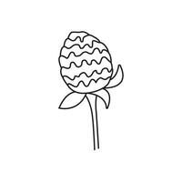 Vector linear illustration of clover flower, in doodle style