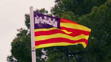 el bandera de mallorca volador en el viento video