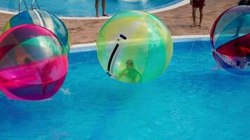 Children play in the pool in inflatable balls video