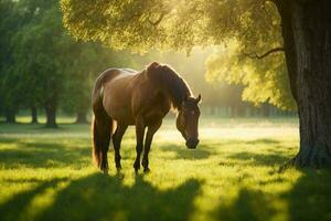 a horse grazing in a serene meadow, surrounded by lush green grass and colorful wildflowers. photo