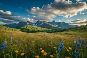 Landscape Photography of a vibrant summer meadow, a tranquil scene of uncultivated beauty in nature. photo