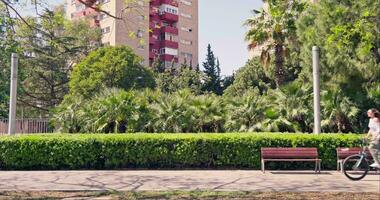 un' donna equitazione un' bicicletta giù un' strada Il prossimo per un' parco video