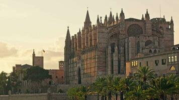 de hoofd kathedraal van de stad van palma de Mallorca video