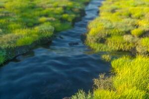 The river between the mountains in a sunny day, 3d rendering photo