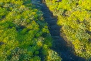 The river between the mountains in a sunny day, 3d rendering photo