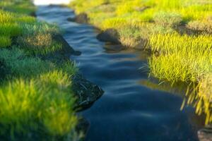 The river between the mountains in a sunny day, 3d rendering photo