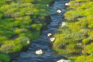 The fantasy lanterns in the river between mountains, 3d rendering photo