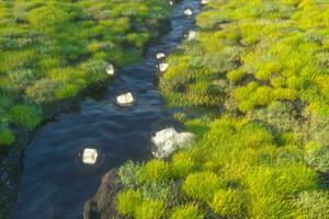 el fantasía linternas en el río Entre montañas, 3d representación foto