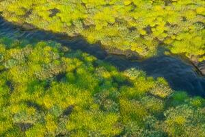 el río Entre el montañas en un soleado día, 3d representación foto