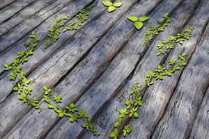 Leaves scattered on the wooden table, 3d rendering. photo